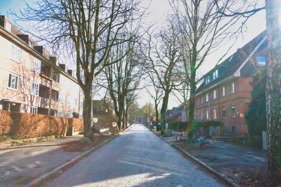 Ruhige Wohnstraße in Richtung Süden Erdgeschosswohnung Hamburg