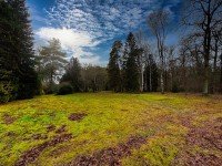 Hauptbild NEUER PREIS MIT EH-55 COMEBACK! HERRLICHES BAUGRUNDSTÜCK (NR. 1/2) IN NATURNAHER LAGE