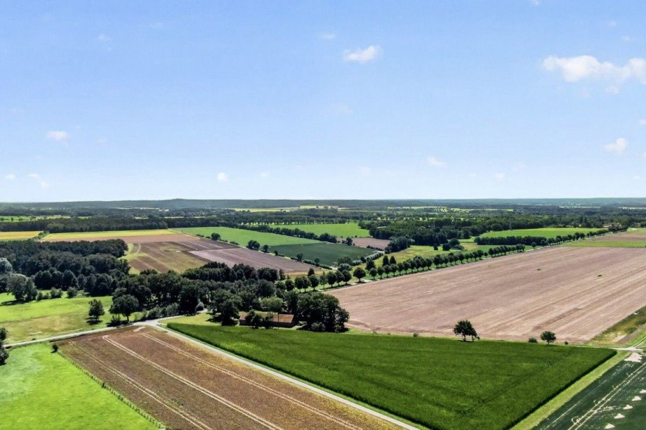 Blick über benachbarte Felder Landhaus Wrestedt