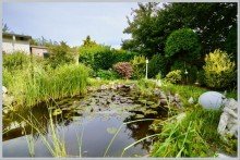 Herrlich angelegte Teichanlage VERKAUFT! TOP-MODERNISIERTER GARTENTRAUM SUCHT NEUE FAMILIE