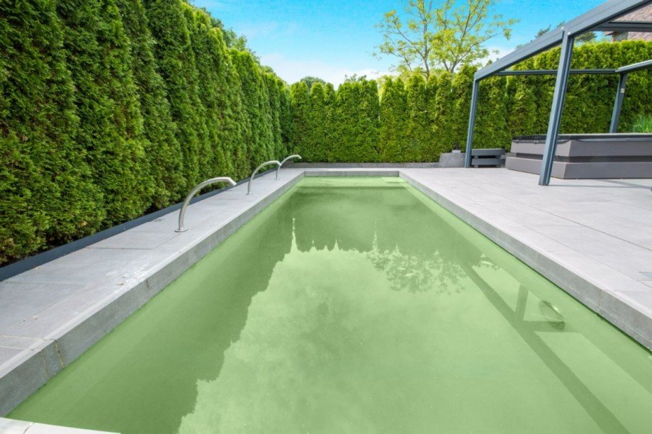 Zeitgemäßer u. nachhaltiger Naturpool Villa Großhansdorf