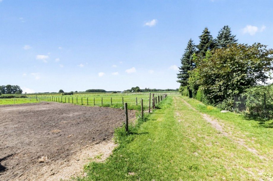 Direkt angrenzende Koppel Landhaus Wrestedt