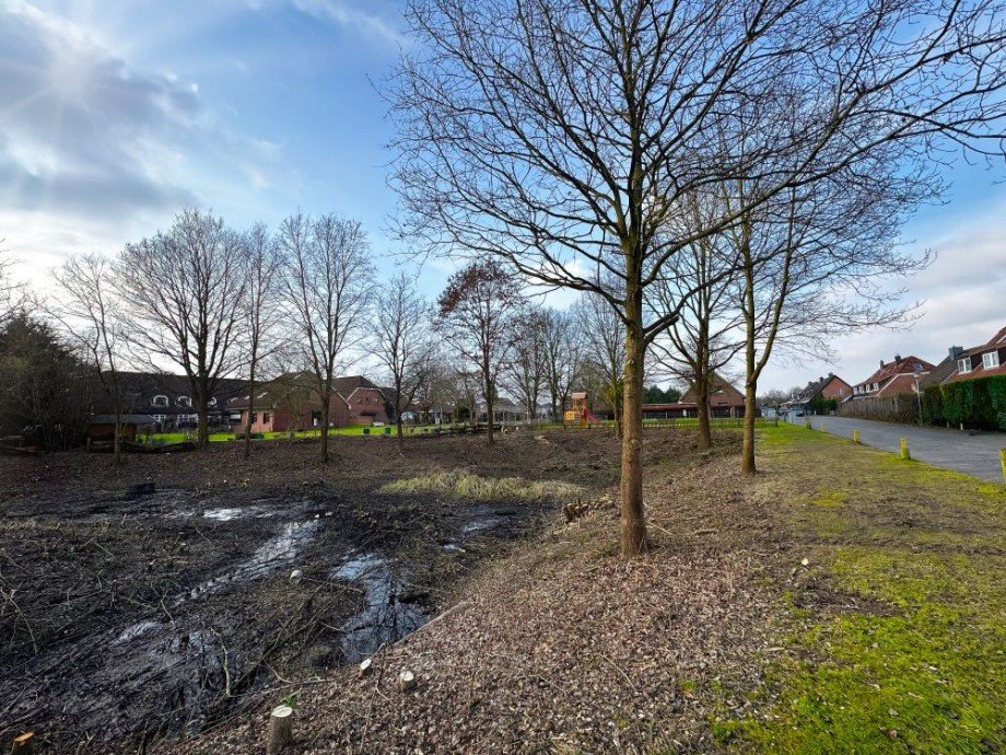 Renaturiertes Regenwasserrückhaltebecken Wohngrundst�ck Stockelsdorf
