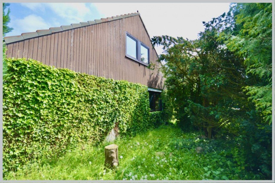 Vorgarten des Hauses Einfamilienhaus Weede