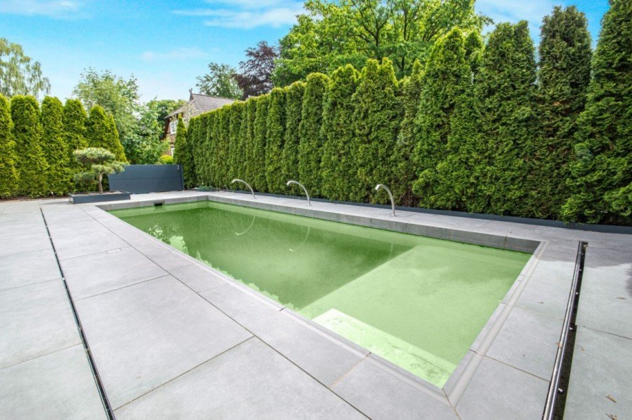Private Schwimmanlage mit Seitentor Villa Großhansdorf