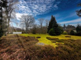 Hauptbild NEUER PREIS MIT EH-55 COMEBACK! HERRLICHES BAUGRUNDSTÜCK (NR. 2/2) IN NATURNAHER LAGE