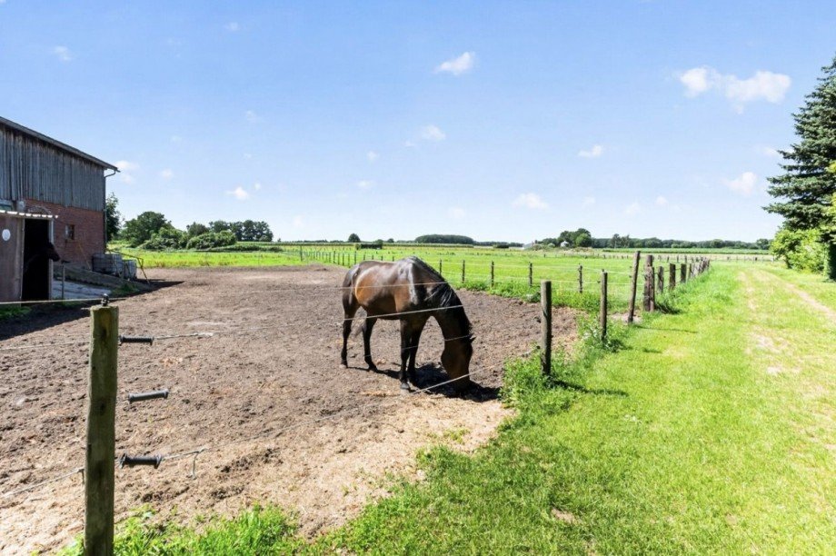 Benachbarte Pferdestallung mit Freilauf Landhaus Wrestedt