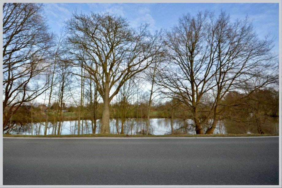 Unverbauter Blick auf die Dove-Elbe Einfamilienhaus Hamburg