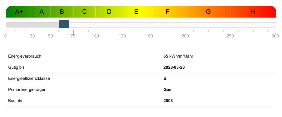 Energieausweis Erdgeschosswohnung Leipzig