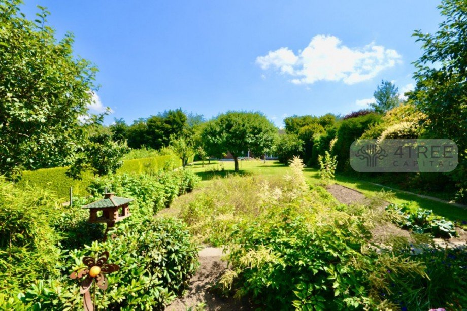 Blick von der Terrasse in den parkähnlichen Garten Einfamilienhaus Klein Rönnau
