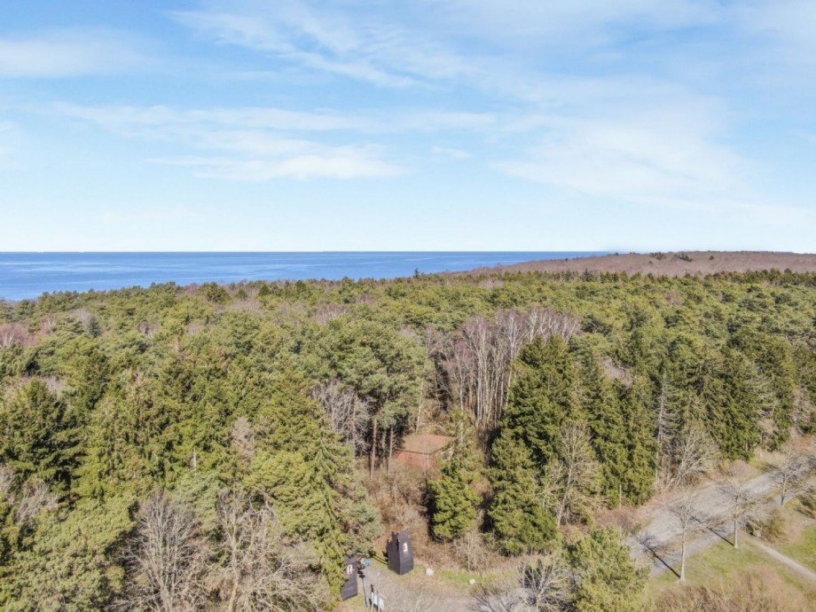 Durch den Wald zum Strand Reihenendhaus Dranske