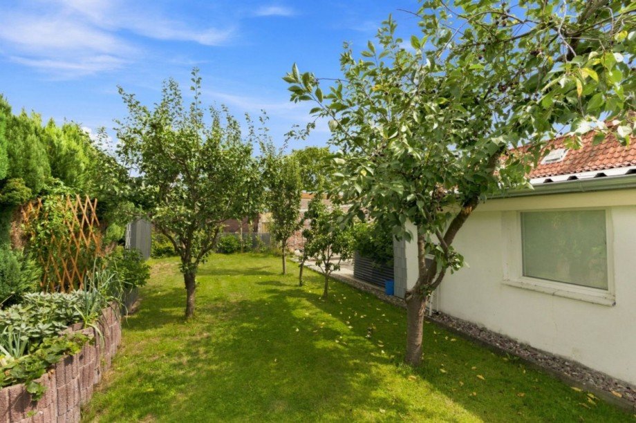 Obstgarten hinter dem Haus Einfamilienhaus Dassow